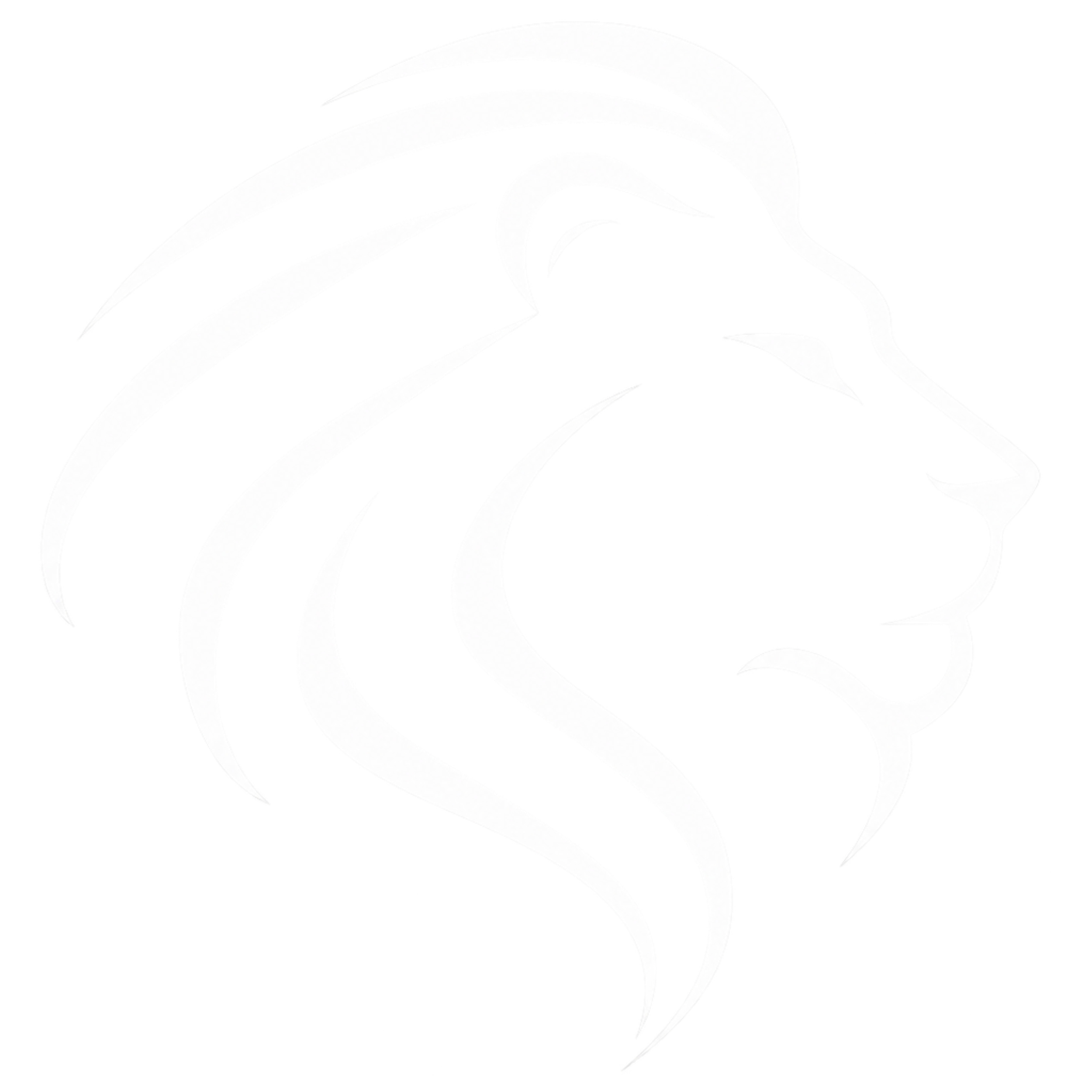 Lion Medical Inc.